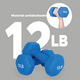 thumbnail image 4 of Set de 2 Mancuernas X-Rush Hexagonales 12 lb (24 lb) con Recubrimiento de Neopreno Azules, 4 of 7