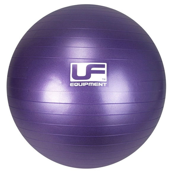 Urban Fitness Equipment Balle Suisse
