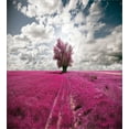 thumbnail image 3 of Ambesonne Nature Duvet Cover Sets, Enchanted Oniric Meadow, 2-Queen, Fuchsia Petrol Blue, 3 of 3
