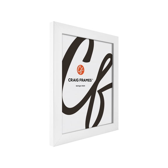 Craig Frames Contemporary Picture Frame, 7x20 Inch, White