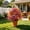 B, variant on Realistic Artificial Flowers with Ground Stakes,UV Resistant Faux Flowers,Outdoor Indoor Artificial Flowers,for Porch Patio Wedding Party Decor,Multiple colors available