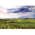thumbnail image 2 of Alan Hausenflock 14x11 White Modern Wood Framed Wall Art Titled - Marshland Storm I, 2 of 5