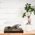 thumbnail image 4 of WEUVEB Transparent Multi Function Acrylic Snake Cage Perfect for Reptile Breeding and Household Use, 4 of 8