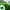 Green, variant on Clearance! Artificial Grass Rug Water-Proof 40x40in Indoor/Outdoor Artificial Grass for Patio Thicken Synthetic Fake Grass Dog Pet Mat School Lawns Balcony Decoration Green