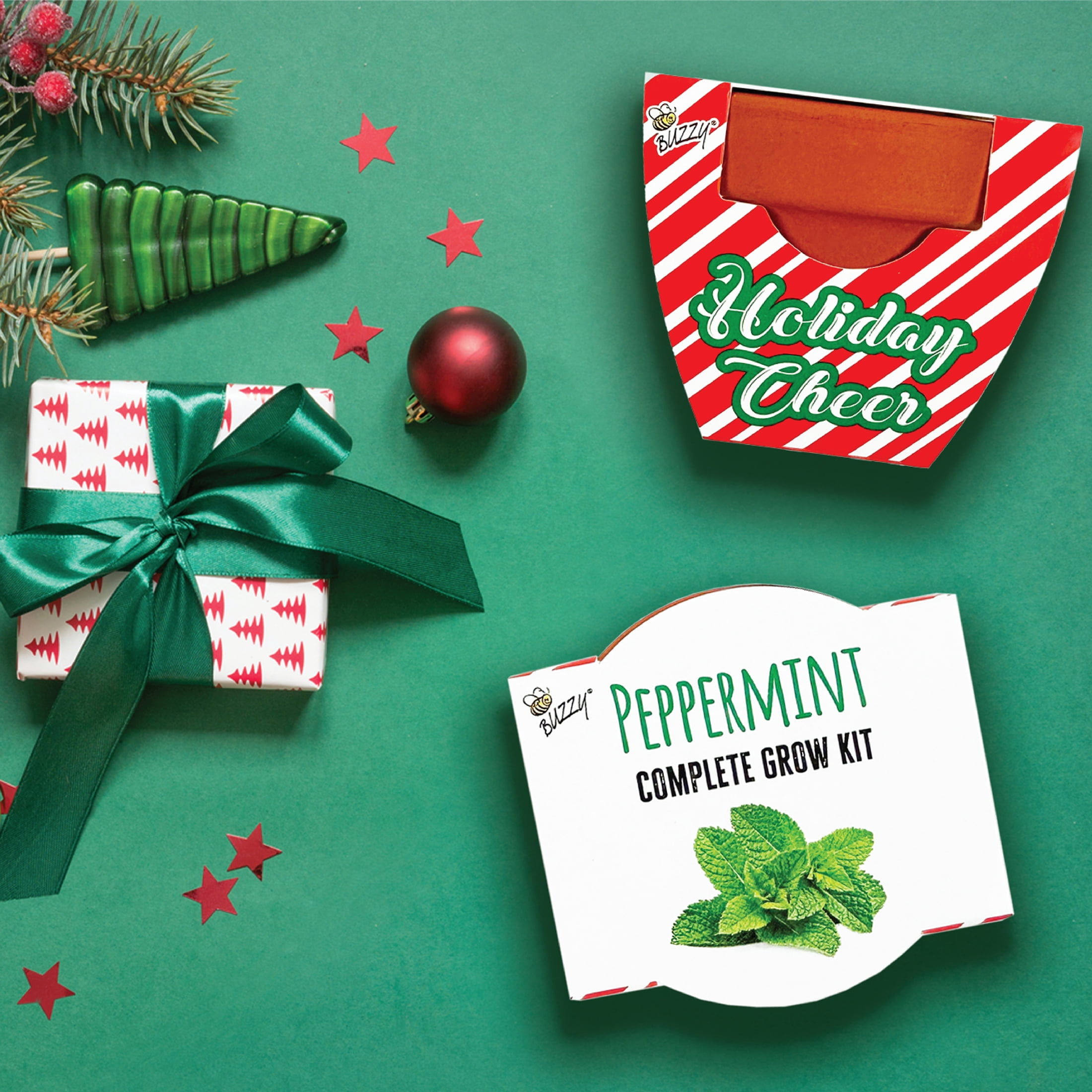 Buzzy Seeds Holiday Peppermint Mini Grow Pot Seed Starter Gardening Kit 6pk