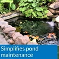 thumbnail image 4 of PondCare Ecofix - 64 fl oz, 4 of 4