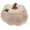 thumbnail image 1 of Boston International BIP14057 Pumpkin Stoneware Bowl Tureen, 1 of 1