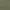 Olive Grove, variant on Lee® Womens Plus Bermuda