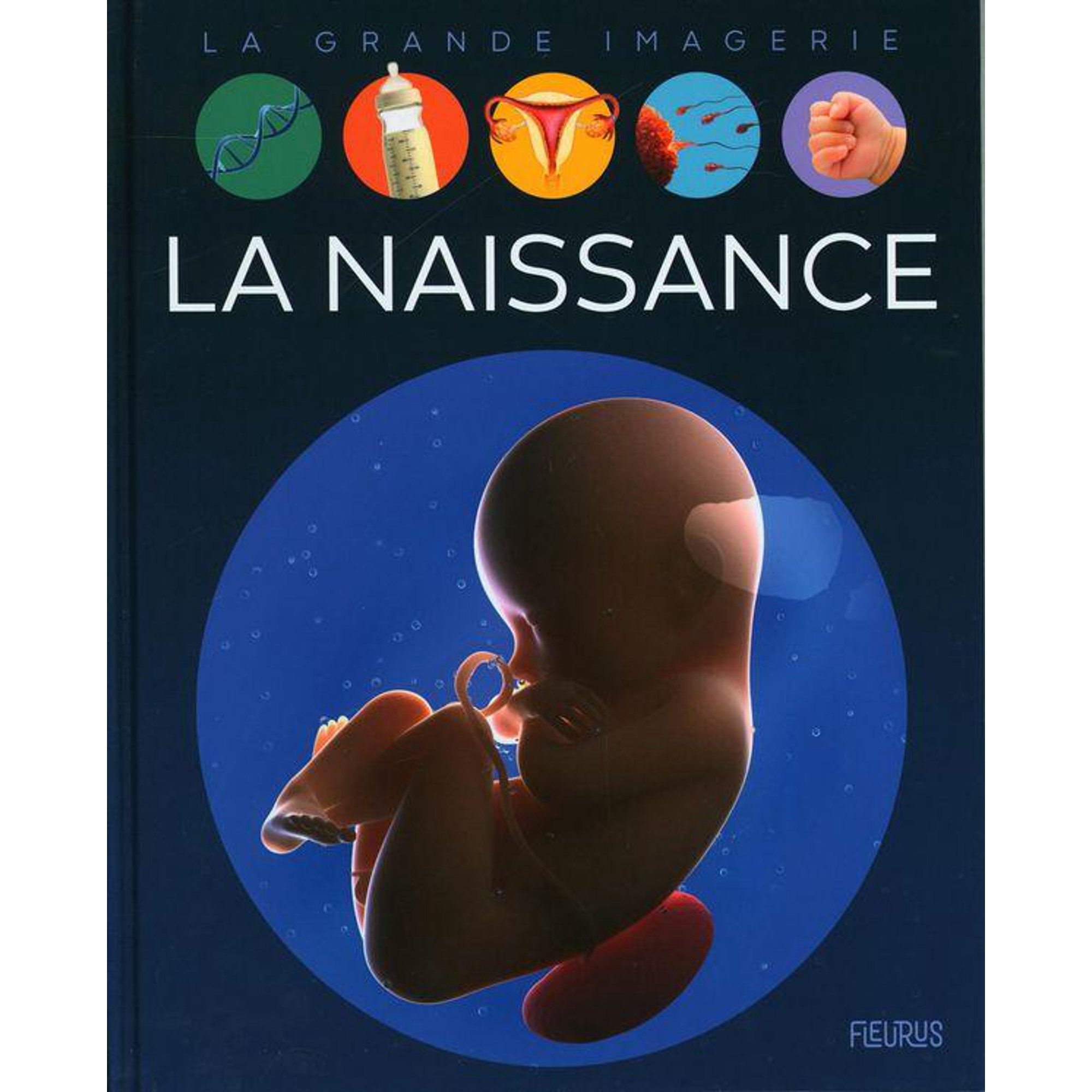 La Grande Imagerie La Naissance French Book Walmart Canada
