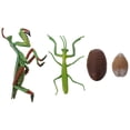 thumbnail image 1 of 1 Set Mantis Life Cycle Figure Insect Life Cycle Figure Early Education Prop, 1 of 7