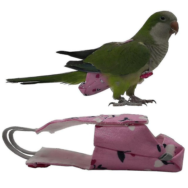 Pañal reutilizable para traje de vuelo de loros y pájaros, almohadilla para pañales de cacatúas y palomas