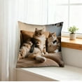thumbnail image 5 of Qiweii 45x45cm Cute Animal-Print Pillow Set, Soft Sofa Living Room Bedroom Cushions, Decorative Home Accent Pillows, 5 of 6