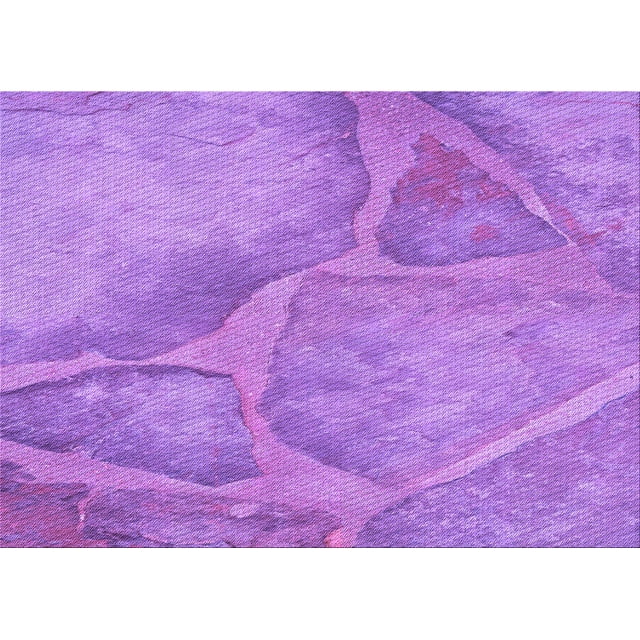 Ahgly Tapis Rectangulaire Lavable en Machine Intérieur Transitionnel Violet Violet, 3 Pieds x 5 Pieds