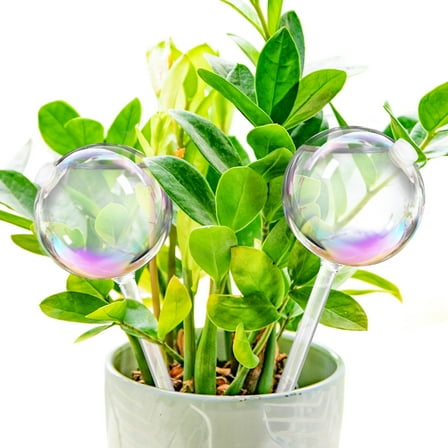 Betus 2 Pcs Iridescent Self Watering Globes - Glass Rainbow Plant Watering Bulbs, Automatic Plant Waterer