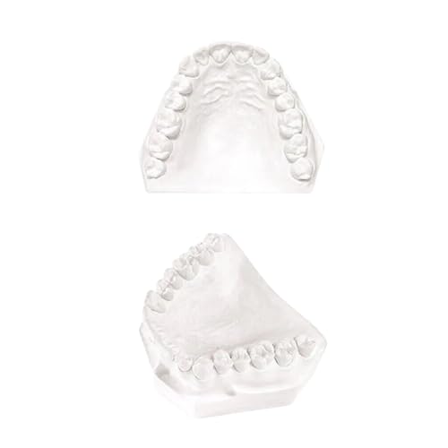 3 LB - White Dental Lab Plaster for Dental Cast Fabrication, Dental Study Model, Casting Replicas -3 lb. Dental Plaster White Type II Regular Set Model Stones Used in Dental Lab, A
