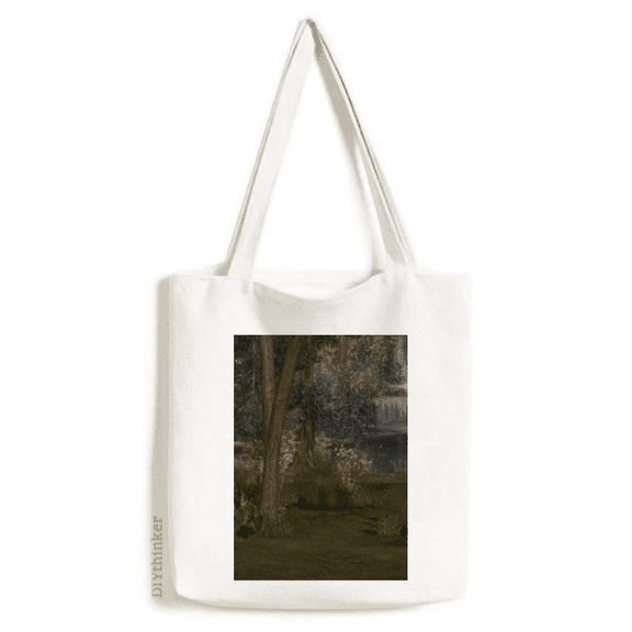 Stream Forestry Science Nature Scenery Tote Canvas Bag Shopping Satchel Casual Handbag