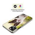 thumbnail image 2 of Head Case Designs Popular Dog Breeds Brown Border Collie In Summer Hard Back Case Compatible with Apple iPhone 14 Pro, 2 of 7