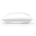 thumbnail image 4 of Ogallala Hypodown Responsibly Sourced & Eco-Friendly, Traditional 600 White Down Soft Pillow, 4 of 5