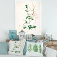 thumbnail image 3 of Designart 'Ancient London Plants IV' Farmhouse Framed Art Print, 3 of 4