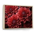 thumbnail image 2 of Designart "Elegant Blooms Of Crimson Mums" Mums Floater Framed Wall Art Living Room, 2 of 5