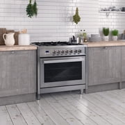 36 in. Stellar Collection 3.8 cu. ft. Dual Fuel Range in Stainless Steel