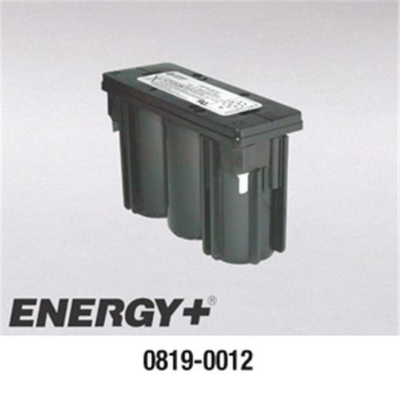 FedCo Batteries Compatible avec l'Enersys 0819-0012 MonoBloc pour les Applications de Haute Fiabilité