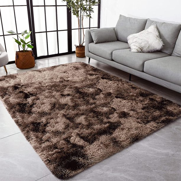 Fluffy Area Rugs for Living Room