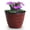 Sangria, variant on Headwind Glazed Ironstone Boutique Collection Cobblestone Plant Pot Plum Color 6 Inch Pot for Indoor Plants - Planters for Indoor Plants - Ideal Succulent Planters by Robert Allen