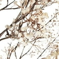 thumbnail image 4 of Indoor/Outdoor Electric Lighted Faux Gypsophila Twig Tree, 6' Tall, 4 of 4