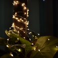 thumbnail image 1 of Luz Decorativa de Baja Emisión de calor ANGGREK Cadena de Luz 100 LED, 1 of 7