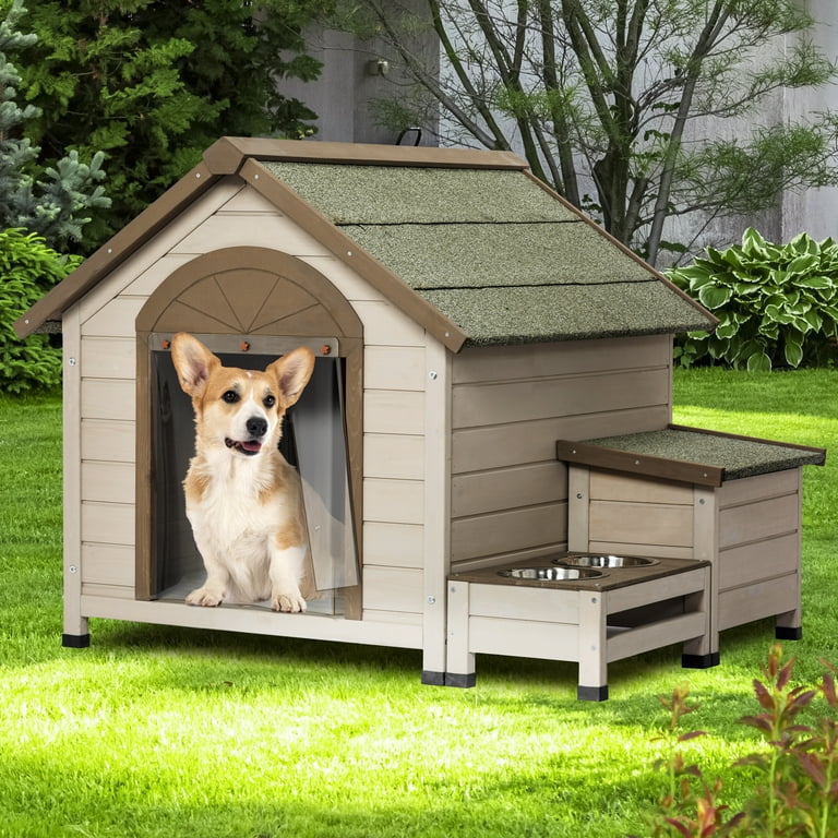 Dog storage best sale box