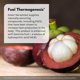 thumbnail image 5 of Suplemento Irwin Naturals Extra-Energy Thermo-Fuel Max Fat Burner 100 cápsulas blandas, 5 of 8