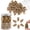 Ambergris 100 pcs/pack, variant on Cherry Backflow Brown Incense Cones, Long Lasting Aroma for Positivity & Pure Air,Wood Powder,Aromatherapy for Stress Relief, Air Purifier & Cleansing, Gift Set - Pack of 100 Cones