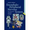 thumbnail image 2 of Système Nerveux Encéphalo-Périphérique, 2 of 2