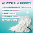 thumbnail image 6 of GoBiotix Hydrolyzed Collagen Peptides Powder with Probiotics for Hair, Skin, Nails & Joints, 11.11 oz, 6 of 11