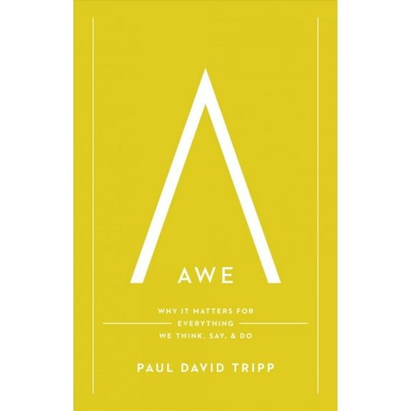 Pre-Owned Awe: Why It Matters for Everything We Think, Say, and Do (Hardcover) 1433547074 9781433547072