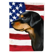 Carolines Treasures CK6714CHF Smaland Hound Dog American Canvas House Size outdoor-flags, Multicolor