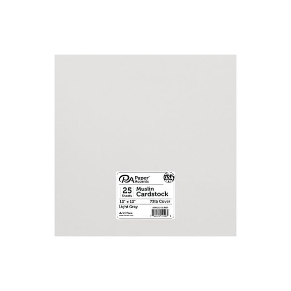Paper Accents Cardstock 12"x 12" Muslin 73lb Light Gray 25pc