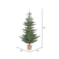 thumbnail image 3 of Vickerman 4' Alberta Spruce Artificial Christmas Tree, Unlit, 3 of 3