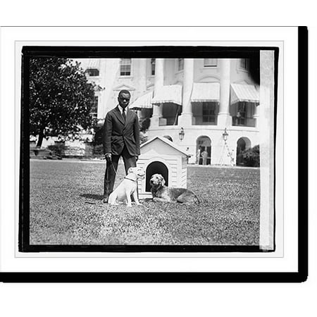 Historic Print, Mrs. Harding's dog O'Boy & Laddie Boy - 2, 18" x 24"