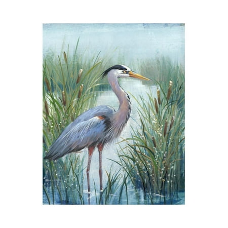 Marsh Heron I Bird Painting Artwork Print Wall Art By Tim