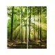 thumbnail image 1 of Cortina De Ventana De Bolsillo Con Barra De Apagón Con Aislamiento Térmico Para Sala De Estar, 55x39 Pulgadas, 2 Paneles / Juego, Impresión De Fotos E Bosque del sol Sunnimix Cortina de poliéster, 1 of 8