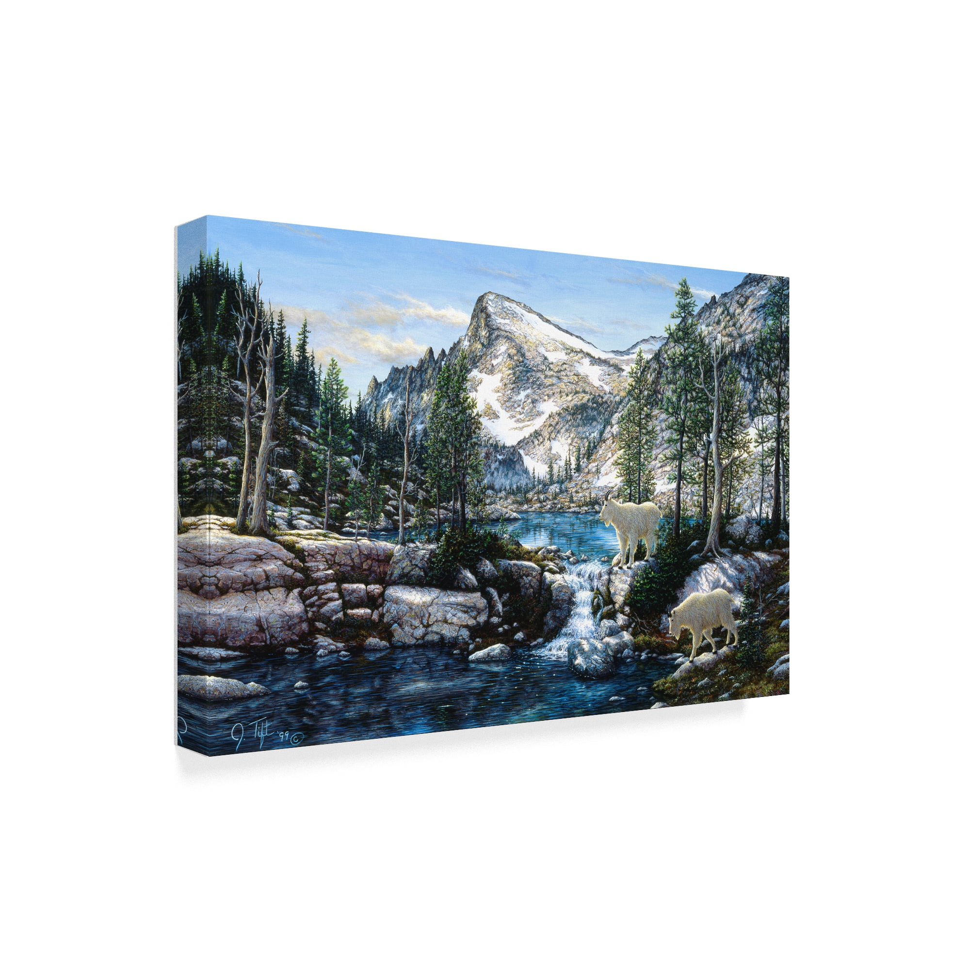 Trademark Fine Art 'Summer In The Enchantments' Canvas Art by Jeff Tift