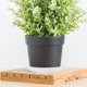 thumbnail image 1 of unbranded 10Ud Bandejas Para Macetas De Plástico Transparentes Con Base Estable Para Plantas, 1 of 8