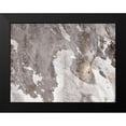 thumbnail image 2 of Prime, Marcus 24x19 Black Modern Framed Museum Art Print Titled - Desert Tapestry 1, 2 of 5