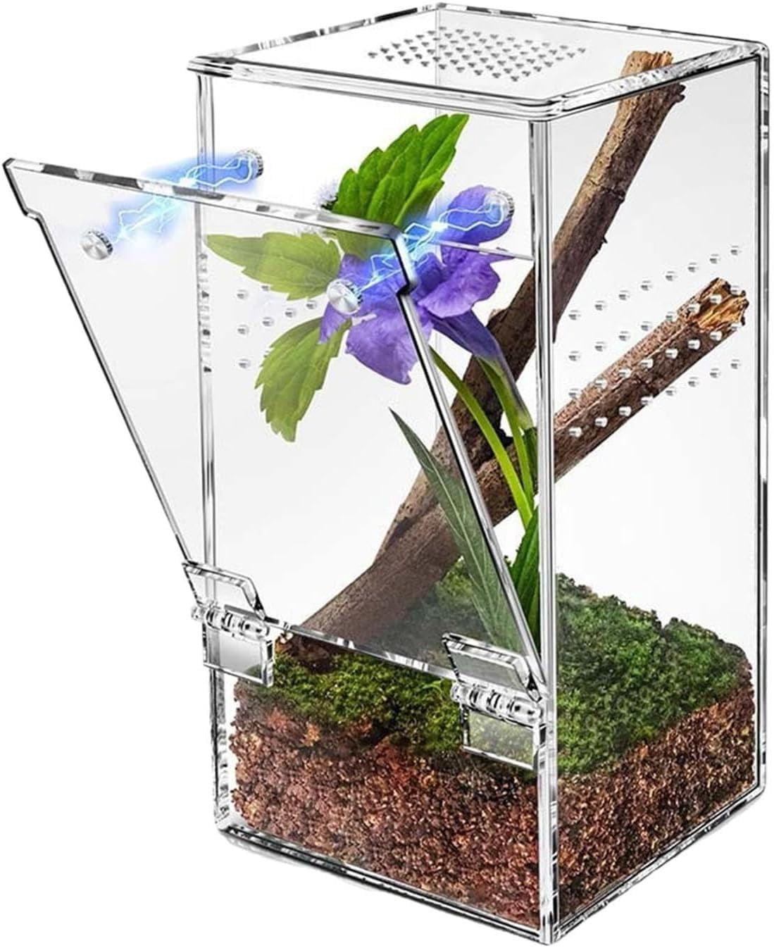 Acrylic Jumping Spider Enclosure, Magnetic Door Terrarium for Display and Observation