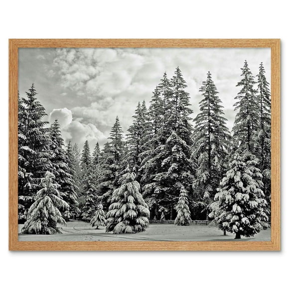 Wee Blue Coo Forêt Enneigée Pin Noir Blanc Impression d'Art d'Hiver Affiche Encadrée Décoration Murale 12x16 Pouces