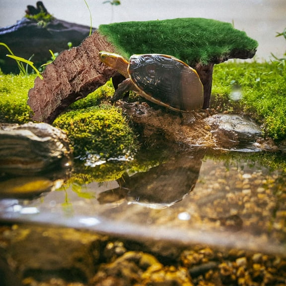 Baluue Reptile Basking Platform Resin Decorative Stand for Reptiles Assorted Colors 1 Piece