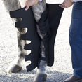thumbnail image 4 of Ice Horse Pair of Knee to Ankle Wraps for Equine Therapy - Comes with 12 Ice Packs, 4 of 4