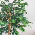 thumbnail image 3 of HomeStock 5Ft. Boldly Bohemian Tree, 3 of 8